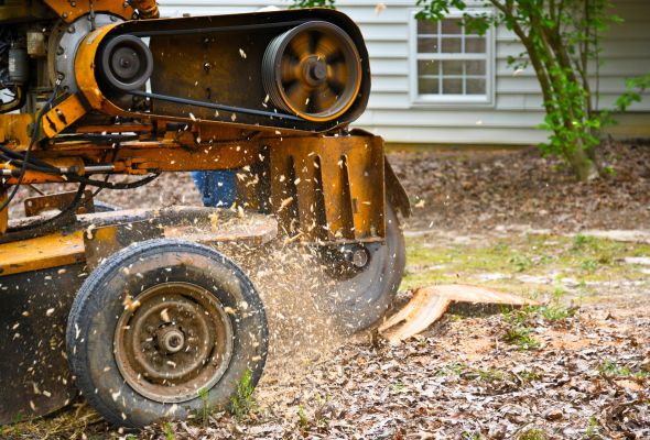 stump removal and grinding